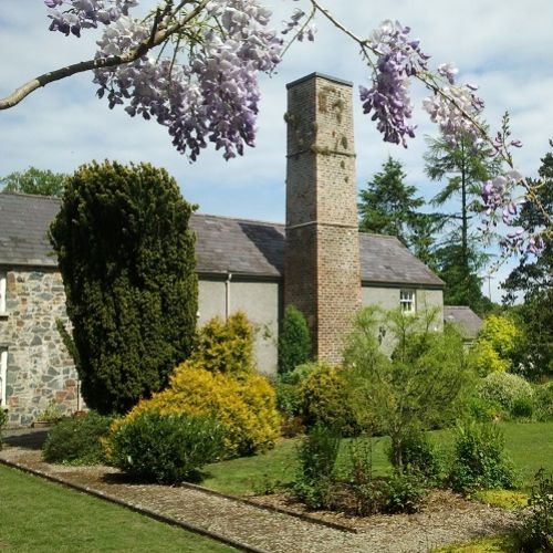 Chimney Wisteria