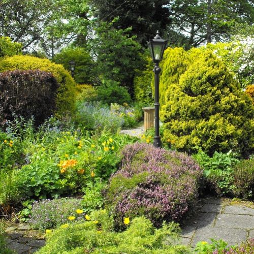 Rockery In Spring