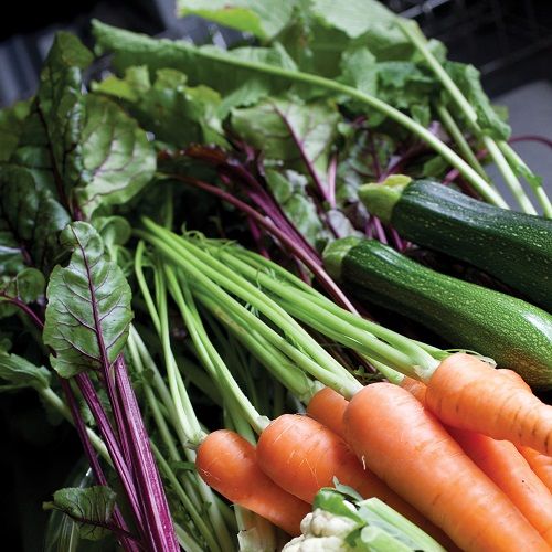 Vegetables From the Garden